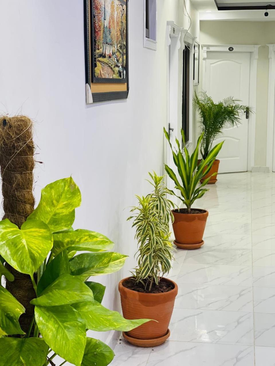 Moven Inn Hotel איסלמאבד מראה חיצוני תמונה